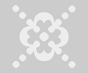 జగన్మోహన్ రెడ్డిని కలిసిని సత్తిరెడ్డి