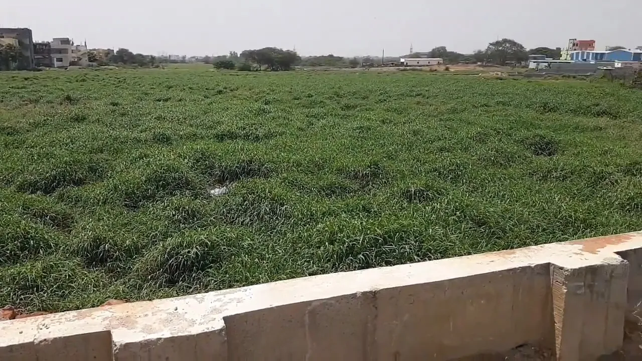 IMG_20251218_11020366 