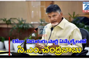 రోజుకో ఏడుగురు ఎమ్మెల్యేలతో భేటీ