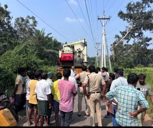 వరి కోత మిషన్ తరలిస్తుండగా విద్యుత్ షాక్ గురై ఇద్దరి మృతి