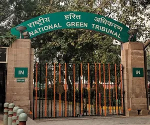 అటవీ కబ్జాపై.. 